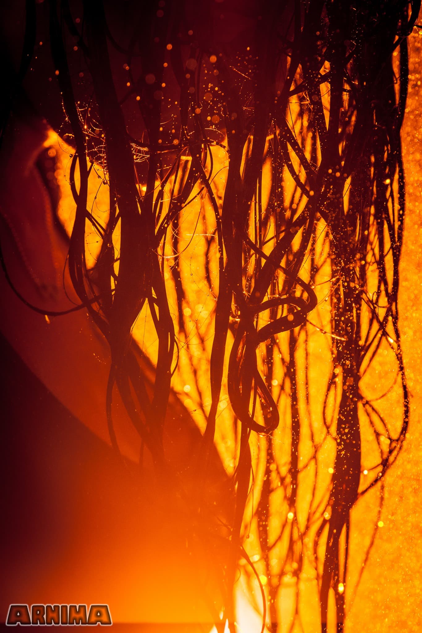 Studio 6 - Wassershooting